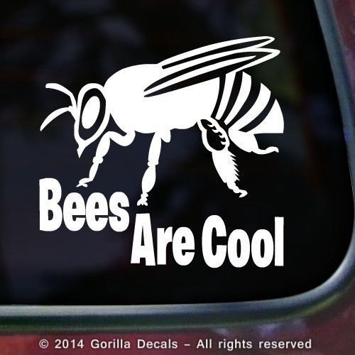 BEES ARE COOL Honey Beekeeping Beepkeeper Decal Sticker Car WHITE BLACK PINK