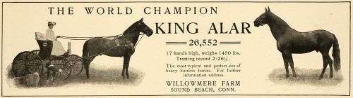 1906 ad willowmere farm king alar world champion horse - original cl4 for sale