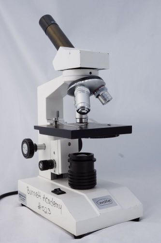 Wolfe Compound Microscope (98H03693)
