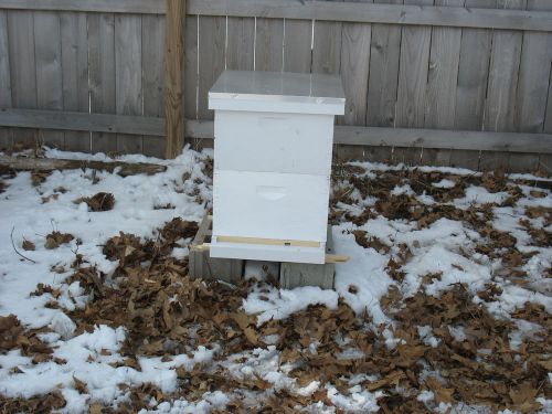 10  Frame Dual Frame Traditional Complete Hive Kit - ALL YOU NEED IS BEES