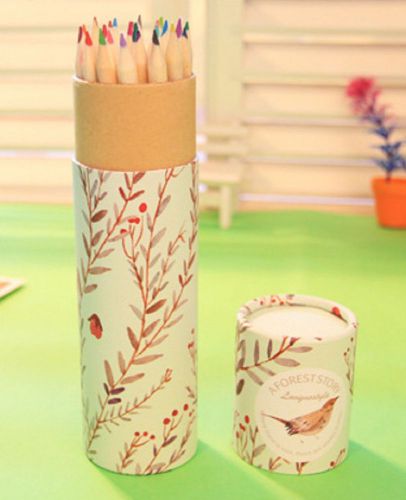 Cute Stripe Pastel Animal w/t Box BIRD Paint Gift Set Drawing Pencils 24 Colors