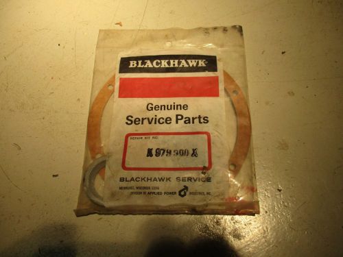 Blackhawk Genuine Service Parts Hydraulic cylinder PN# K979900 X, Unopen