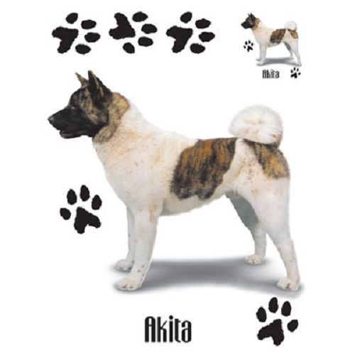 Akita Dog HEAT PRESS TRANSFER T Shirt Tote Bag Sweatshirt Fabric Print 804b