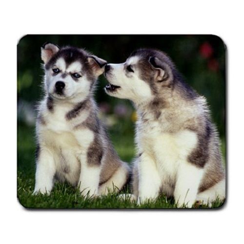 Cute Puppy Husky Puppies Dogs Pets Animal Large Mousepad Mouse Pad