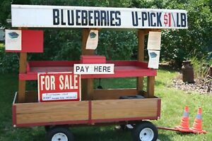 FRUIT VEGETABLE PORTABLE ROADSIDE STAND UTILITY WAGON