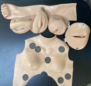 Gaumard Maternal Birthing Simulator: Vulvas Postpartum Suturing
