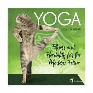 2022 Yoga-Fitness and Flexibility for the Modern Feline Mini Calendar