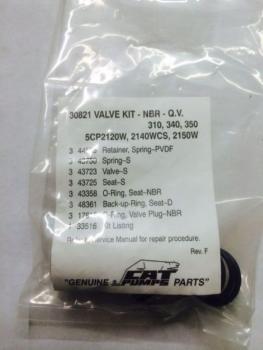 Pressure Washer Cat  310, 340, 350 Pumps Valves Kit Set  * 30821 *