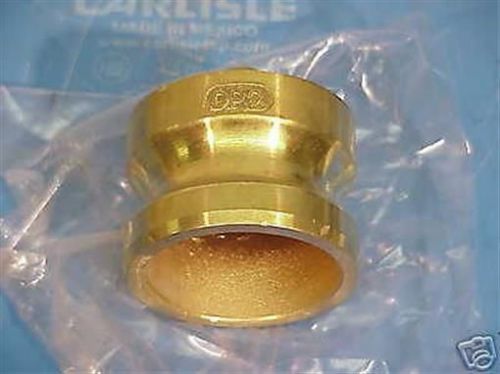 Cam &amp; Groove Coupling 2&#034; Dust Plug - Brass