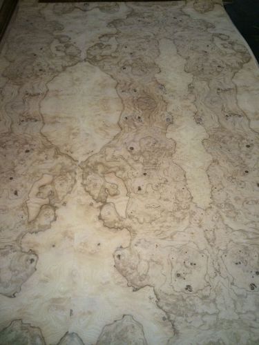 Wood veneer olive ash burl 49x75 1pcs total 10mil paper backed  &#034;exotic&#034;0854.6 for sale