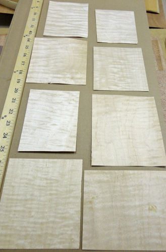 Curly figured tiger maple wood veneer sample pack = 8 pieces (4&#034;-5&#034; x 5&#034;-6&#034;) raw for sale