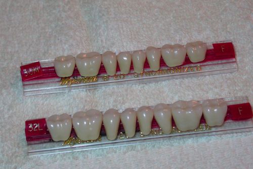 Myerson Porcelain Teeth - 16