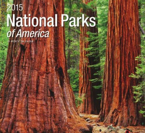 18-Month 2015 NATIONAL PARKS OF AMERICA Wall Calendar NEW SEALED Scenic Nature