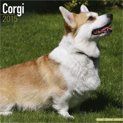2015 CORGI DOGS dog animals Calendar Year Diary new organiser