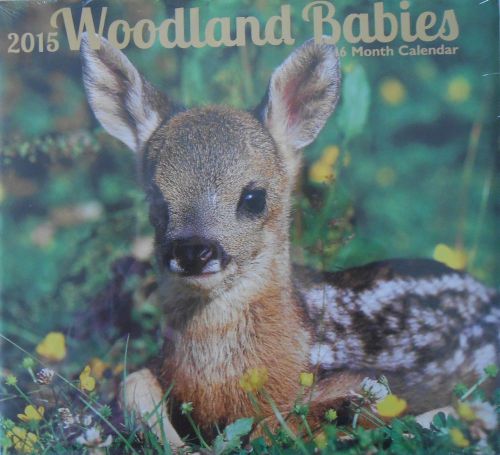 2015 Calendar WOODLAND BABIES Fawn Rabbit Bear Fox 16-Month 12&#034;x11&#034; SEALED