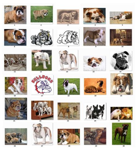 30 personalized bulldogs address labels (bg) buy 3 get 1 free for sale