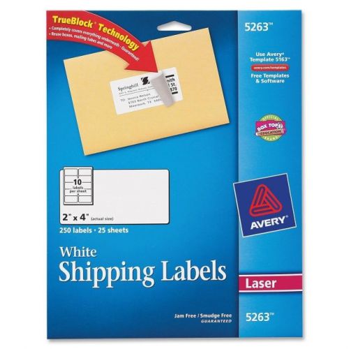 AVERY DENNISON 5263 25 SHEET W/10 LABELS 2X4 WHITE