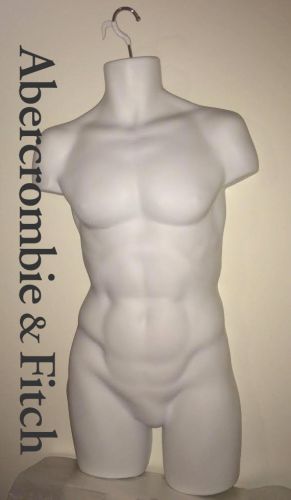Nude White Male Torso Mannequin - Direct from Abercrombie and Fitch - Male Bust