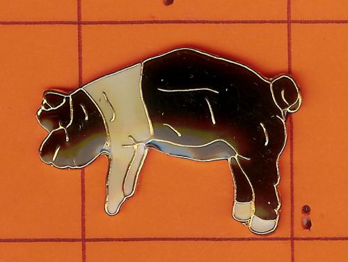 Hampshire Hog   Shaped   Pins
