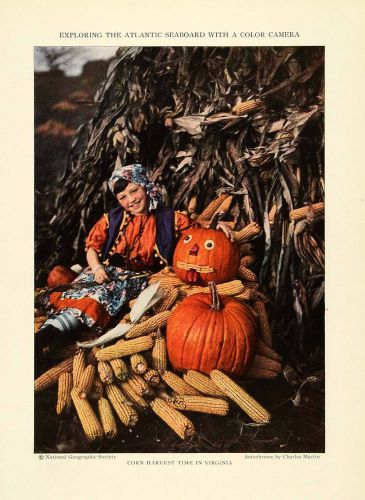 1926 print corn harvest virginia decorative pumpkins girl child fall ngm1 for sale