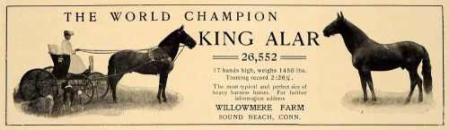 1906 Ad Willowmere Farm King Alar Heavy Harness Horses - ORIGINAL CL9