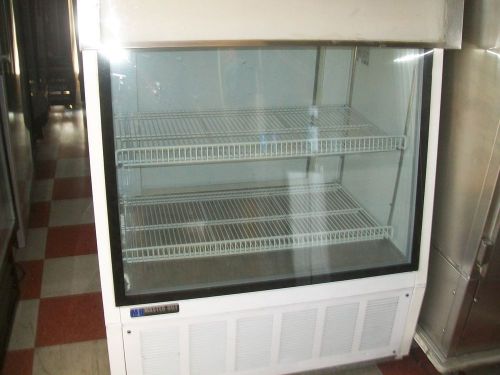 Freezer merchandiser, master bilt, 115v, 2 shelves,40 inches w,900 items e bay for sale