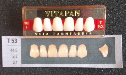 Vitapan Denture Teeth  T53   1M1