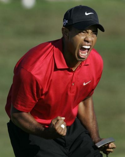 Tiger Woods ~ 18x24 New High Quality POSTER  [01337]
