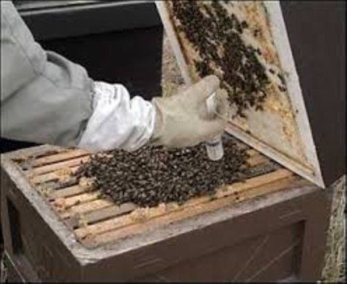 Oxalic Acid Varroa Mite Control  Honey Bees 35 grams NEW YORK