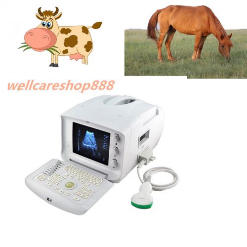 Portable veterianry ultrasound scanner + convex probe + 3d software pregnant for sale