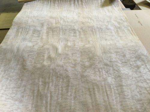 Wood Veneer Quilted Maple 48x65 1 Piece 10Mil Paper Backed &#034;EXOTIC&#034; 0917 2 Lok