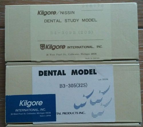 Kilgore/Nissin Dental Study Model Adult &amp; Child