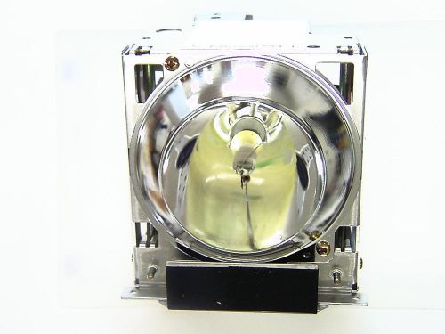 ZU0243 04 4010 Lamp for LIESEGANG DV 280