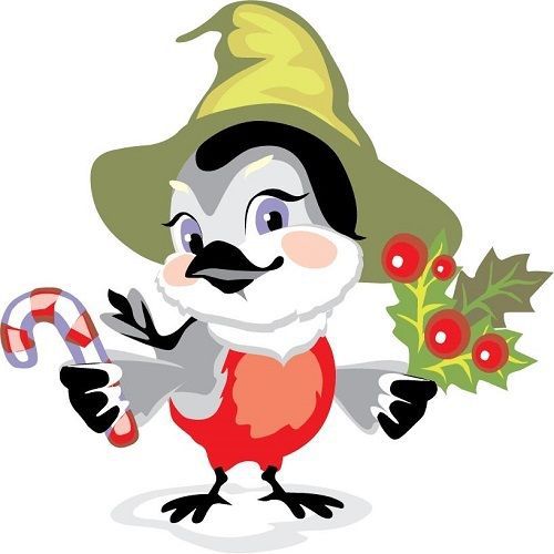 30 Custom Holiday Bird Personalized Address Labels