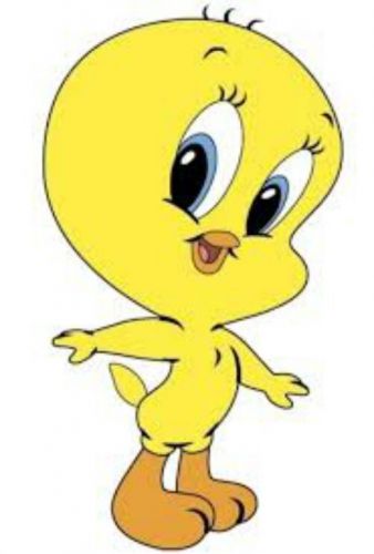 30 Personalized Return Address Labels TWEETY BIRD!