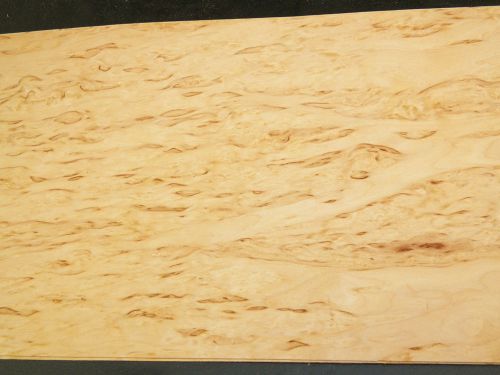 Masur birch raw wood veneer 8 x 40 inches, 1/42nd thick   6924-18
