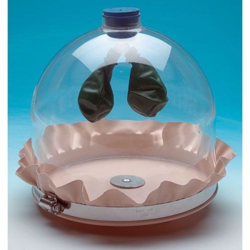 Deluxe lung apparatus, lung and diaphragm demonstration for sale