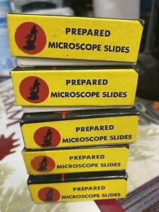 prepared microscope glass pads