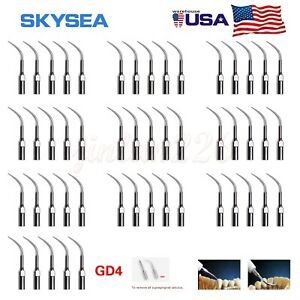 50X Dental Ultrasonic Piezo Scaling Scaler Tips Fit DTE SATELEC Handpiece GD4 EK