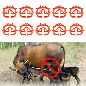 10 X Cow Cattle Calving Weaning Feeding Calf Weaners Nose Wean Ring Farm Tool