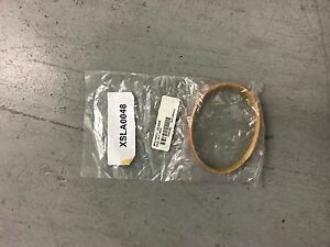 ANVIL AMERICA   BELT, XSLA0048