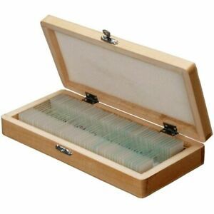 BIOLOGY PREPARED MICROSCOPE SLIDE SET