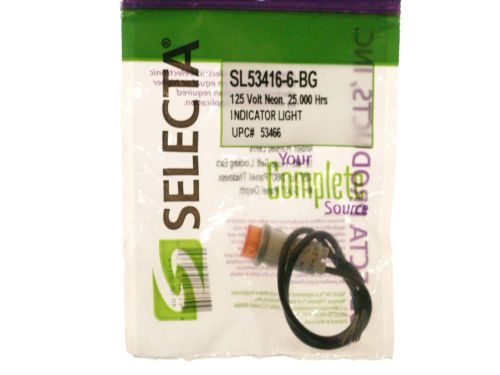 Selecta Switch SL53416-6-BG  Light Neon 1/2 O.D.Raised Amber Lens 125V AC or DC