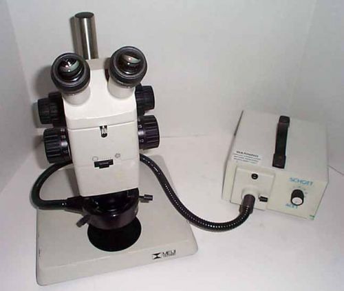 Meiji RZ Stereozoom Microscope on Pole Stand 10-75x Schott Fiber Optics Nice