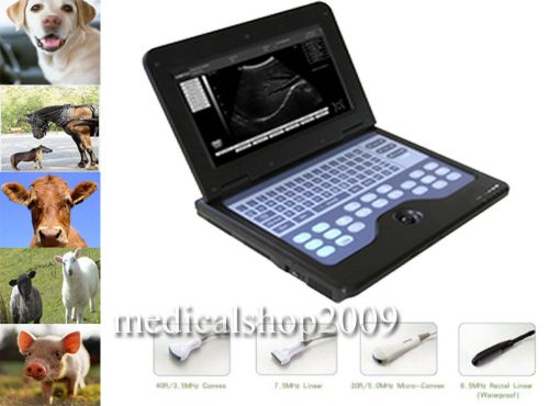 Vet Veterinary B-Ultrasound Diagnostic System Ultrasound scanner Limited Edition