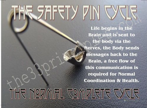 Safety Pin Cycle Poster Chiropractor Chiropractic  FREE SHIPPING!!!