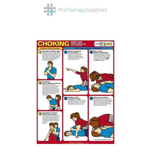 Anatomical Choking First Aid For Adults Laminated Chart
