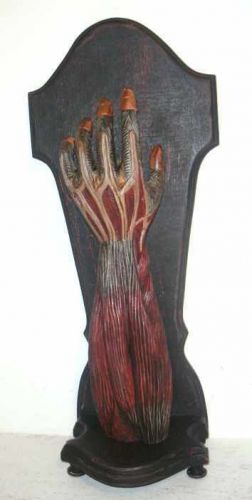 Rare realistic life size anatomical carved teak wood arm with muscle structure for sale