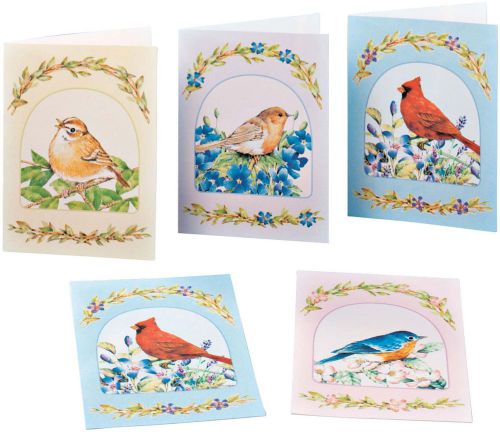 Miles kimball song bird greeting cards set of 24, multi  for sale