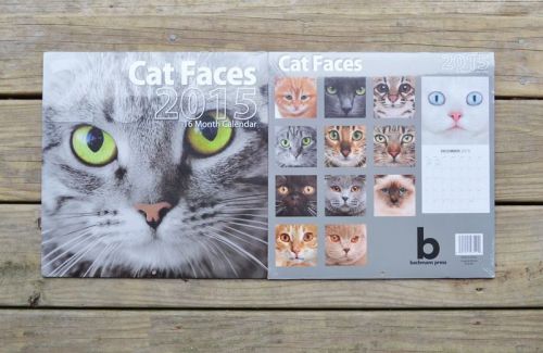 2015 Wall Calendar Cats Cat Faces Calendar 16 month calendar New in Package
